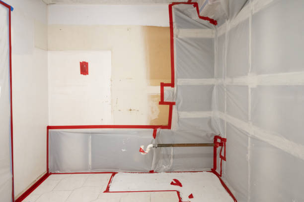 Best HVAC Mold Inspection and Cleaning  in Awendaw, SC