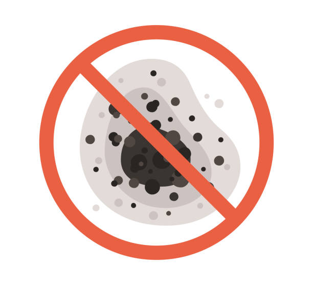 Professional Mold Removal in Awendaw, SC