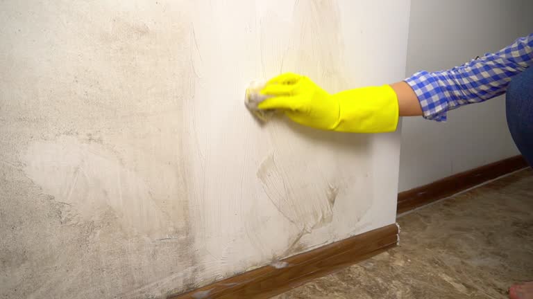 Best Mold Prevention Services  in Awendaw, SC