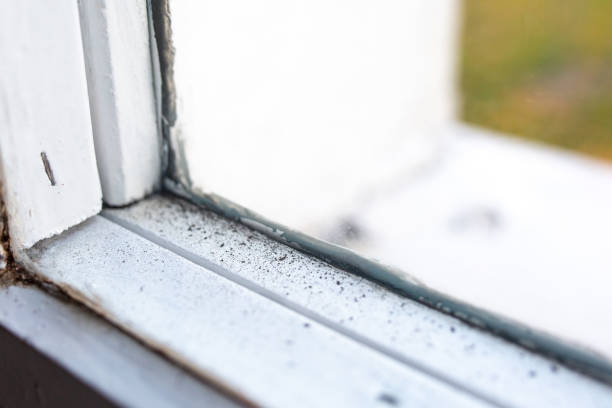 Best Residential Mold Inspection & Testing  in Awendaw, SC