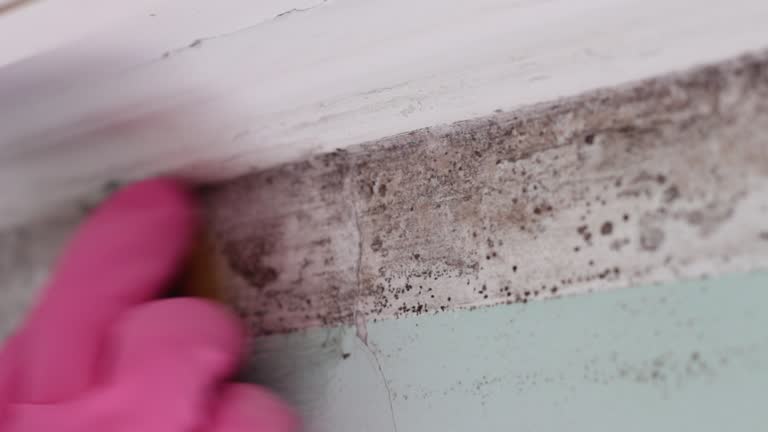 Best Mold Prevention Services  in Awendaw, SC